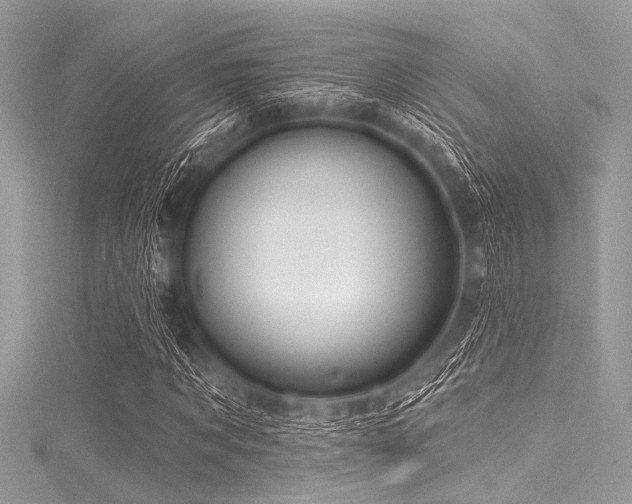 X0000116010869200911191523