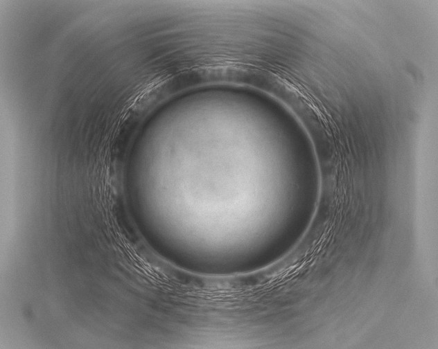 X0000116010870200911191523