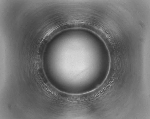 X0000116010871200911191523