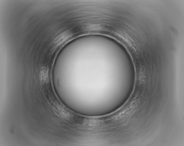 X0000116010873200911191523