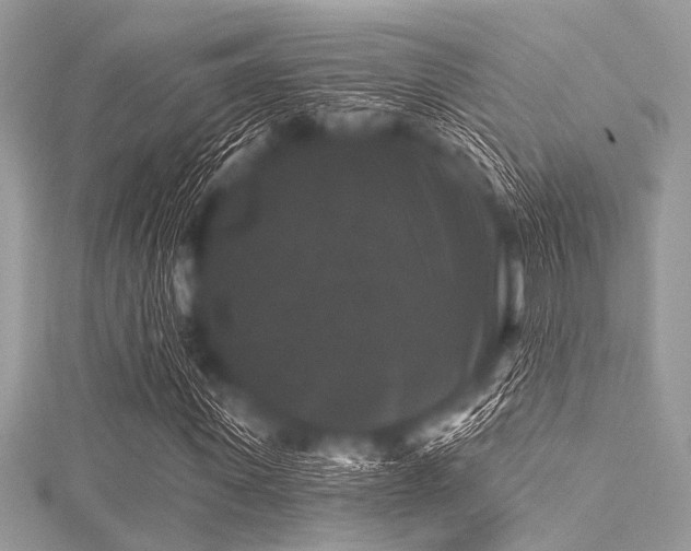 X0000116010915200911191522
