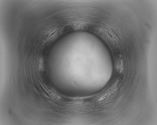 X0000116010964200911191522