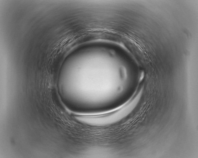 X0000116010965200911191522
