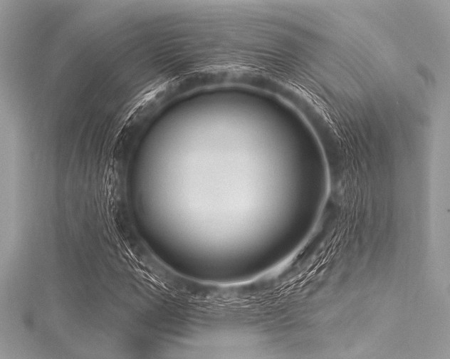 X0000116010967200911191522