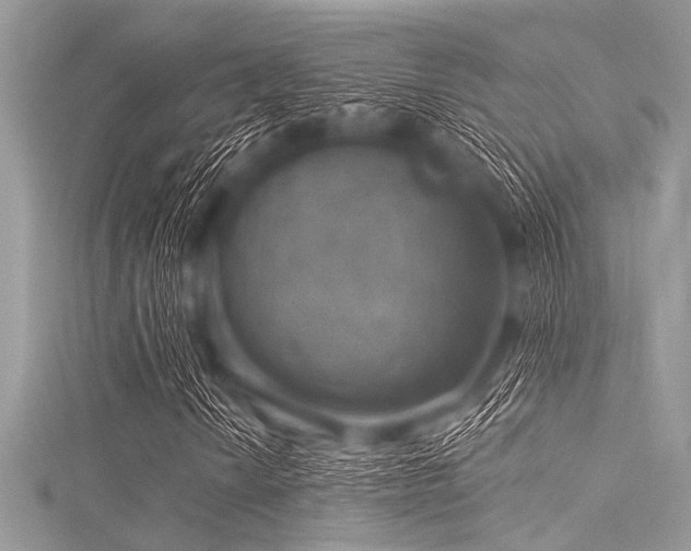 X0000116011010200911191520