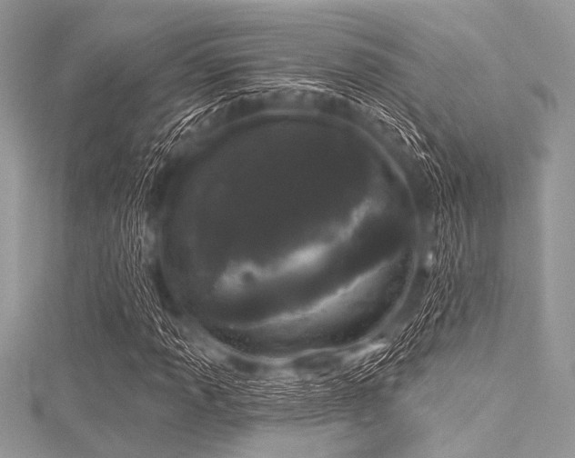 X0000116011013200911191521