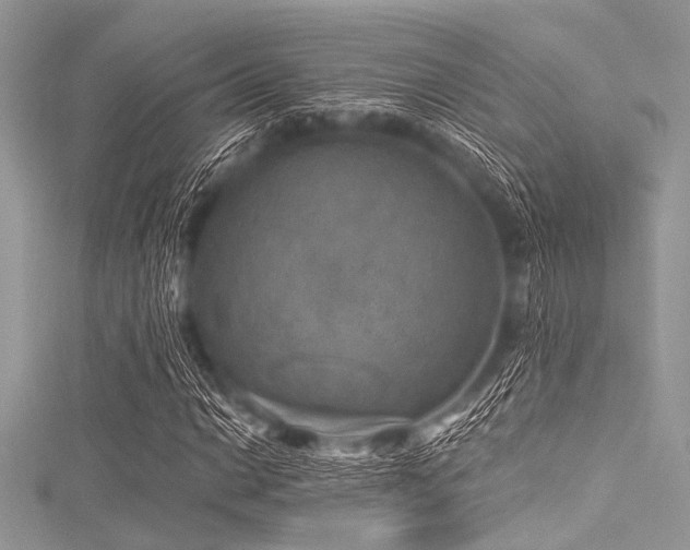 X0000116011014200911191521