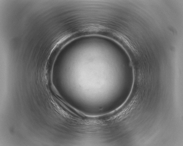 X0000116011018200911191521
