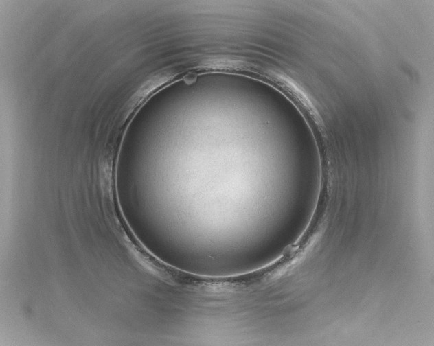 X0000116011041200911191521