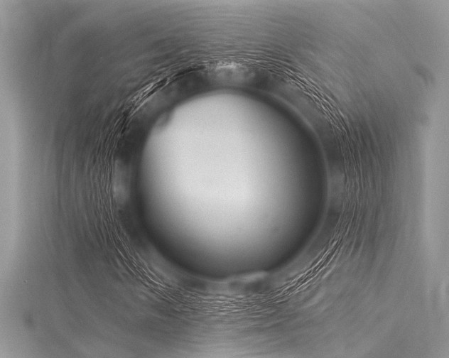 X0000116011058200911191520