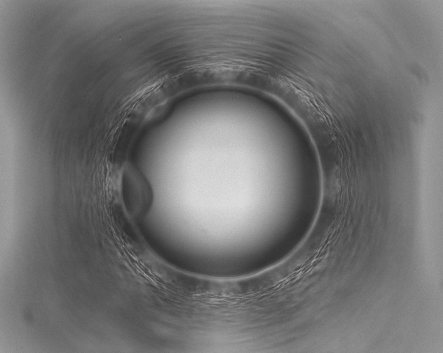 X0000116011062200911191520