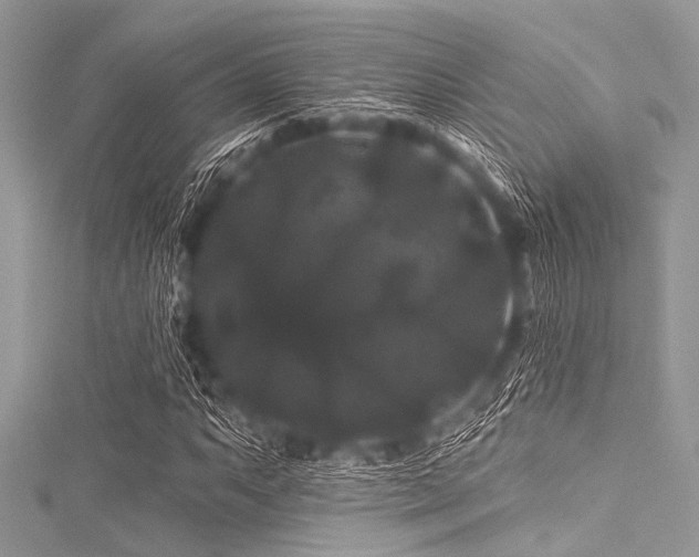 X0000116011063200911191520