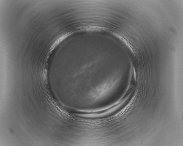 X0000116011066200911191520
