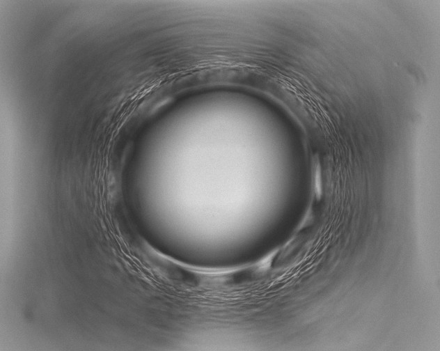 X0000116011109200911191519