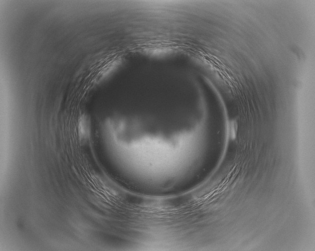 X0000116011155200911191519