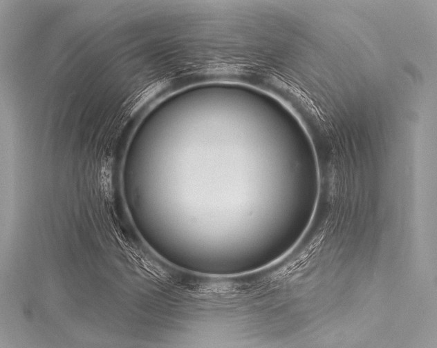 X0000116011162200911191519