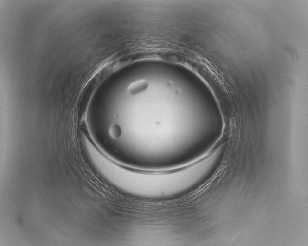 X0000116011165200911191519