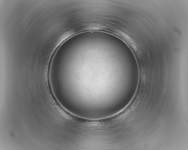 X0000116011186200911191519