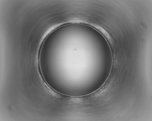 X0000116011191200911191519