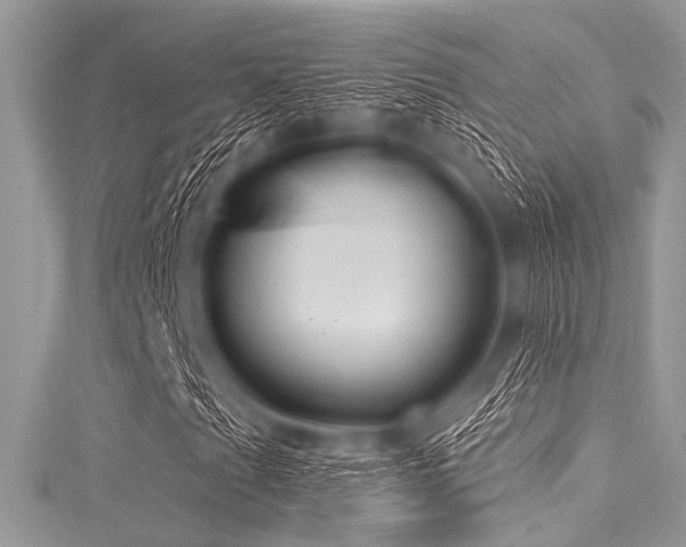 X0000116011201200911191518