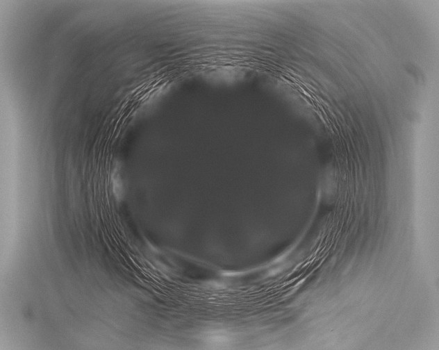 X0000116011202200911191518