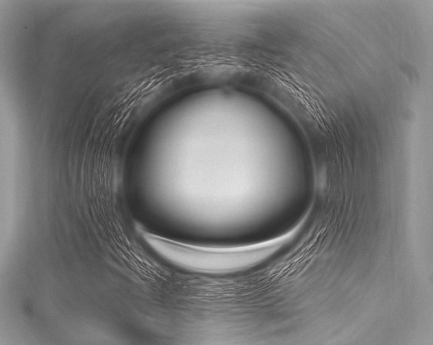 X0000116011204200911191518