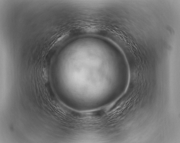 X0000116011205200911191518