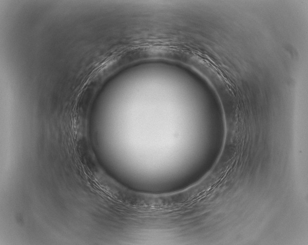 X0000116011207200911191518