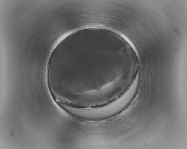 X0000116011245200911191518