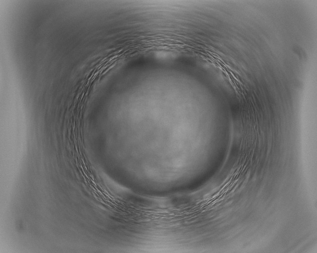 X0000116011249200911191518