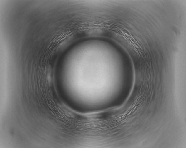 X0000116011250200911191518