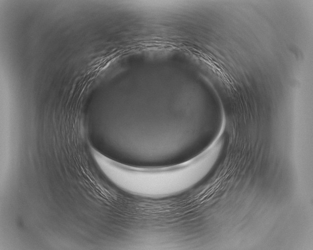 X0000116011252200911191518