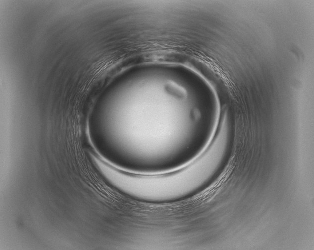 X0000116011257200911191518