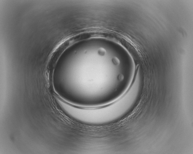 X0000116011310200911191517