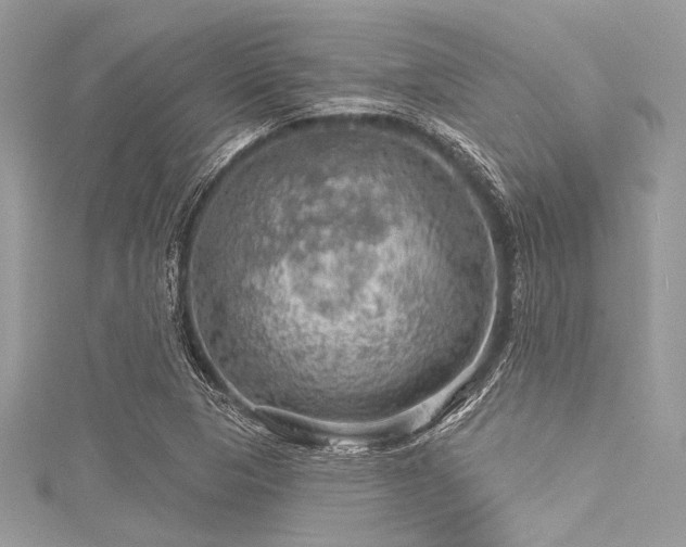 X0000116011313200911191517