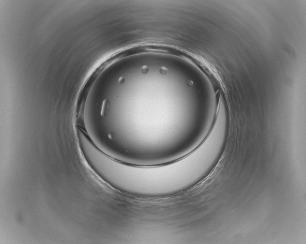 X0000116011342200911191517