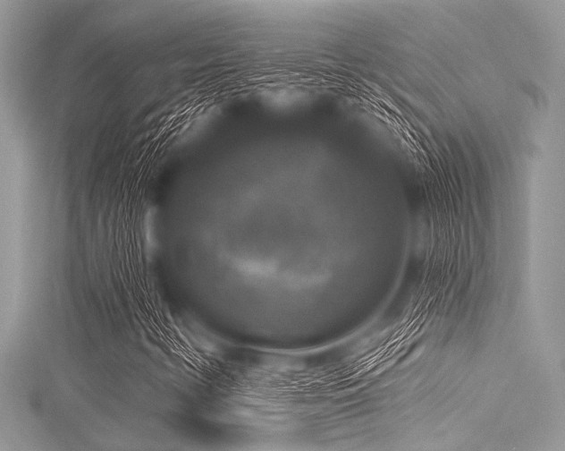 X0000116011346200911191517