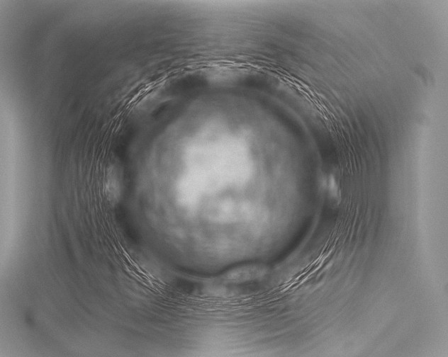 X0000116011348200911191517