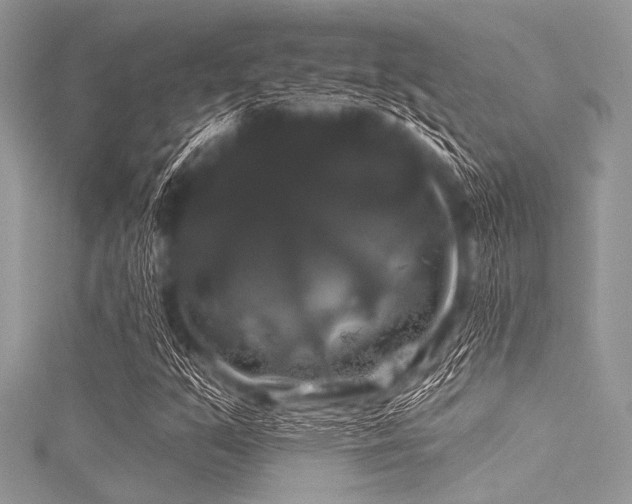 X0000116011351200911191516