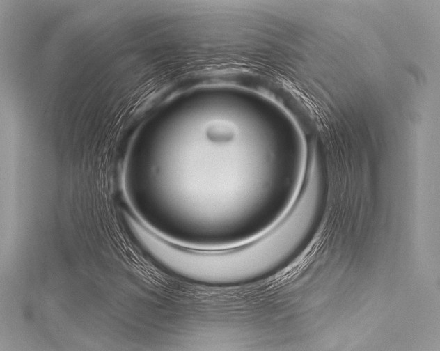 X0000116011353200911191516