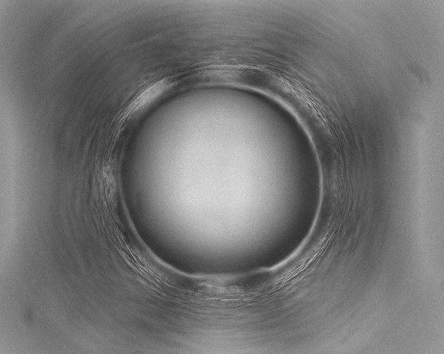 X0000116011354200911191516