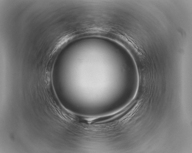 X0000116011355200911191516