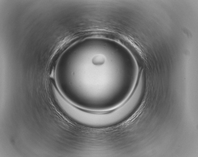 X0000116011357200911191516