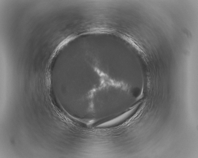 X0000116011358200911191516