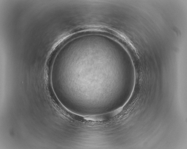 X0000116011360200911191516