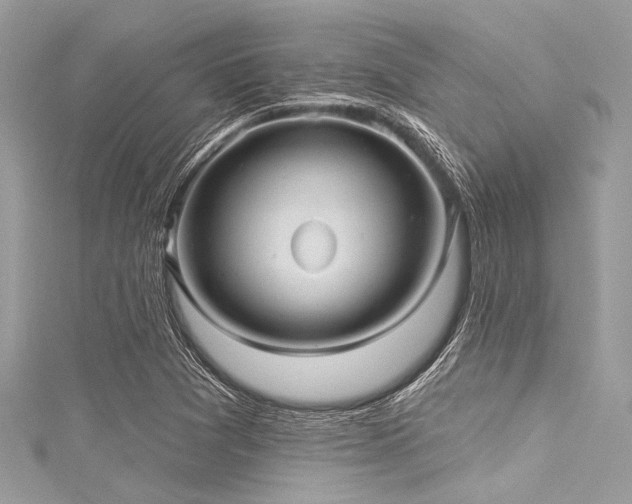 X0000116011361200911191516