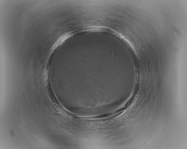 X0000116011362200911191516