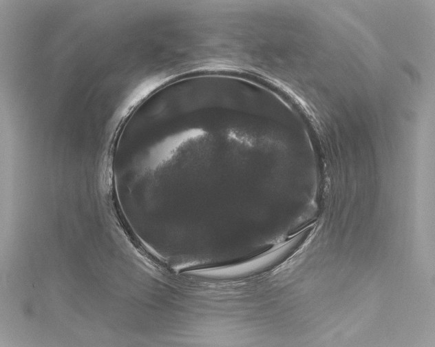 X0000116011367200911191516