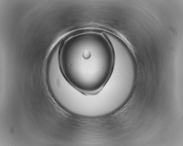 X0000116011368200911191516