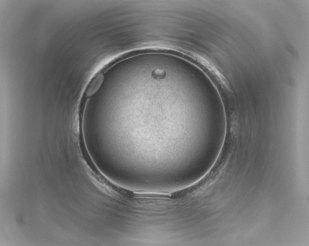 X0000116011372200911191516